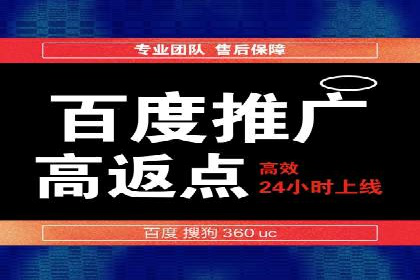 百度推广与SEO结合案例：提升网站排名的技巧